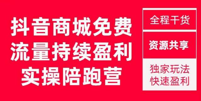 抖音商城搜索持续盈利陪跑成长营，抖音商城搜索从0-1、从1到10的全面解决方案-辉硕副业