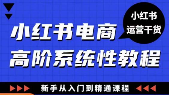 小红书电商高阶系统教程，新手从入门到精通系统课-辉硕副业