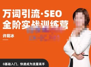 许茹冰·万词引流-SEO全阶实战训练营，0基础入门，快速成为流量高手-辉硕副业