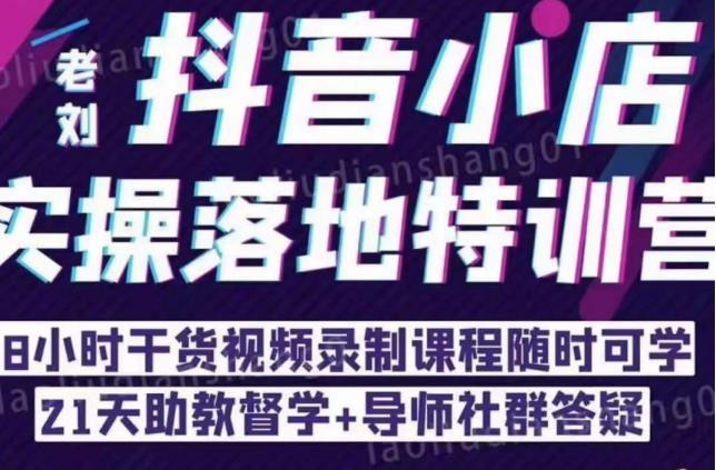 抖音小店实操落地特训营：抖音小店无货源精细化运营，抖店商品卡流量（22节）-辉硕副业