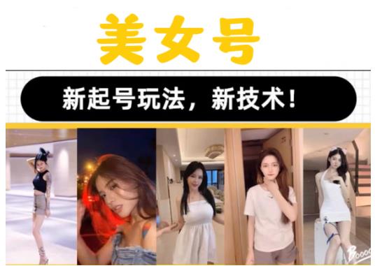 2023抖音快手短视频美女号课程制作玩法教程，美女号搬运新起号玩法，新技术（素材+教程）-辉硕副业