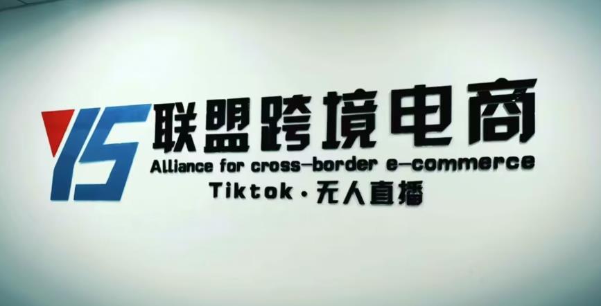 YS联盟·Tiktok无人直播，不出镜不剪辑不拍摄不发货无售后的跨境短视频躺赚玩法-辉硕副业