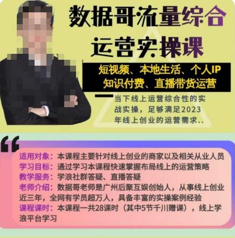 数据哥流量综合运营实操课：短视频、本地生活、个人IP知识付费、直播带货运营-辉硕副业