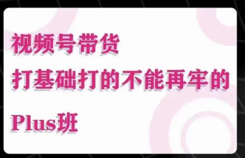 大播汇·视频号带货Puls班，视频号底层逻辑，起号自然流鱼塘等玩法-辉硕副业