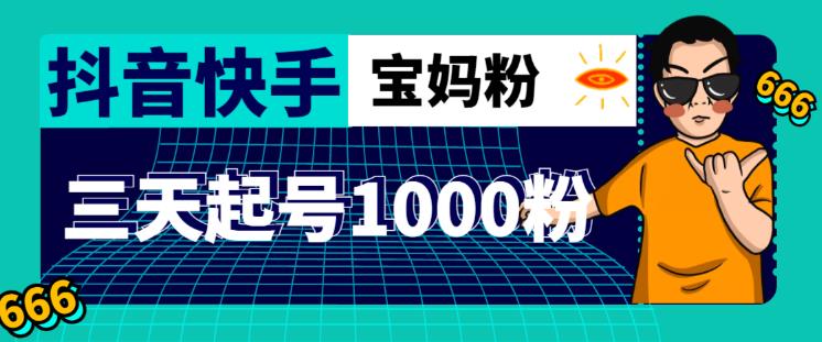 抖音快手三天起号涨粉1000宝妈粉丝的核心方法【详细玩法教程】-辉硕副业