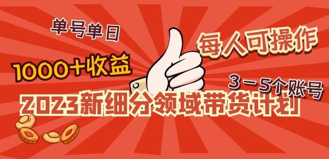 2023新细分领域带货计划：单号单日1000+收益不难，每人可操作3-5个账号-辉硕副业