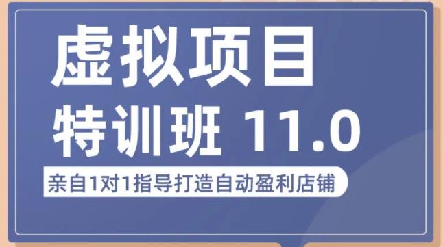 陆明明·虚拟项目特训班（10.0+11.0），0成本获取虚拟素材，0基础打造自动盈利店铺-辉硕副业