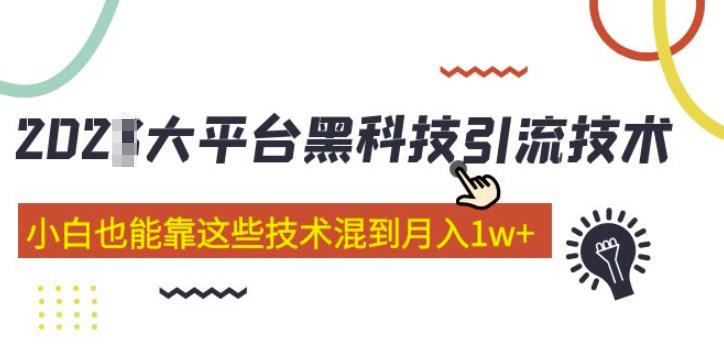 大平台黑科技引流技术，小白也能靠这些技术混到月入1w+(2022年的课程）-辉硕副业