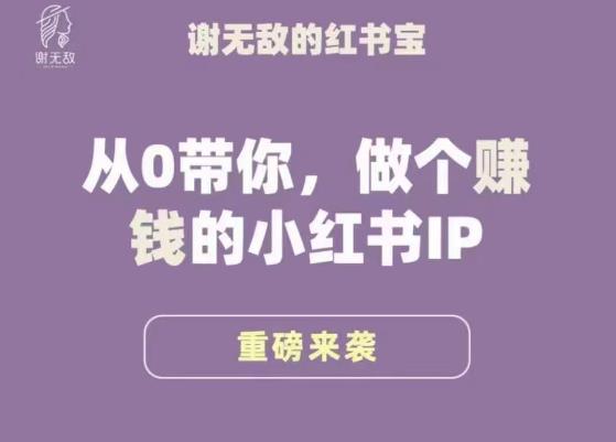 谢无敌·小红书运营大宝典，从0带你做个赚钱的小红书IP-辉硕副业