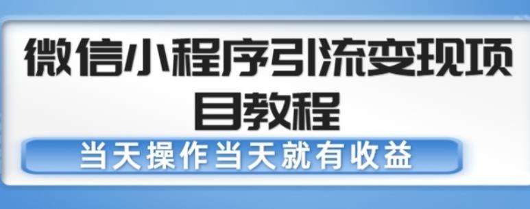 微信小程序引流变现项目教程，当天操作当天就有收益，变现不再是难事-辉硕副业