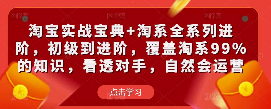 淘宝实战宝典+淘系全系列进阶，初级到进阶，覆盖淘系99%的知识，看透对手，自然会运营-辉硕副业