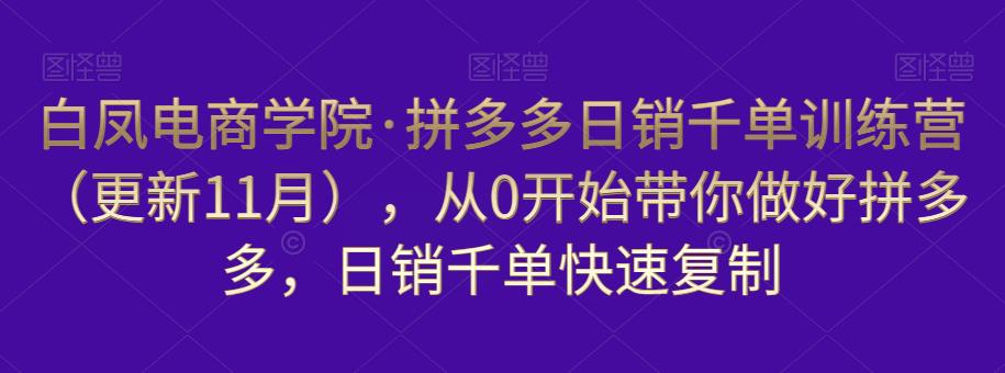 白凤电商学院·拼多多日销千单训练营，从0开始带你做好拼多多，日销千单快速复制（更新知2023年3月）-辉硕副业