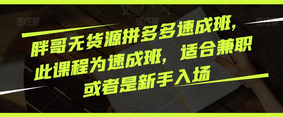 胖哥无货源拼多多速成班，此课程为速成班，适合兼职或者是新手入场-辉硕副业