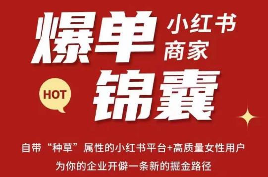 无畏·小红书商家爆单锦囊，掌握小红书各大规则，快速精准抢占行业和市场-辉硕副业