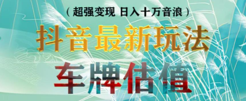 抖音最新无人直播变现直播车牌估值玩法项目，轻松日赚几百+【详细玩法教程】-辉硕副业