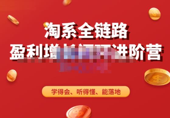 淘系全链路盈利增长闭环进阶营，融合全店动销，学得会、听得懂、能落地！-辉硕副业