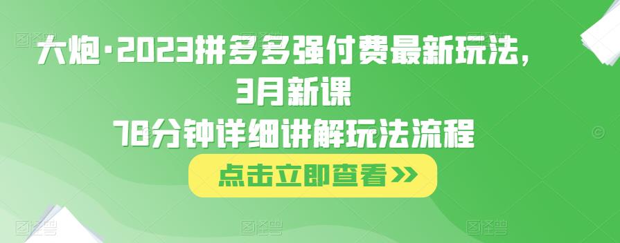 大炮·2023拼多多强付费最新玩法，3月新课​78分钟详细讲解玩法流程-辉硕副业