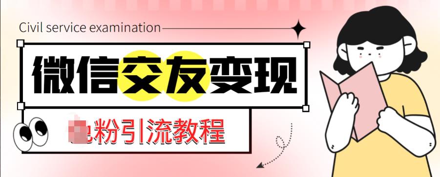 微信交友变现项目，吸引全网LSP男粉精准变现，小白也能轻松上手，日入500+-辉硕副业