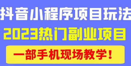 抖音小程序9.0新技巧，2023热门副业项目，动动手指轻松变现-辉硕副业