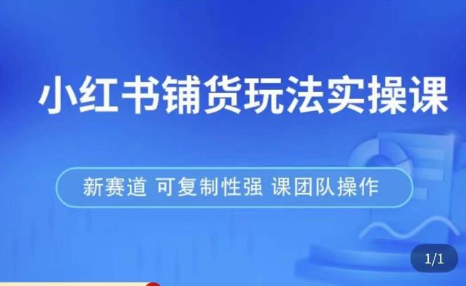 小红书铺货玩法实操课，流量大，竞争小，非常好做，新赛道，可复制性强，可团队操作-辉硕副业