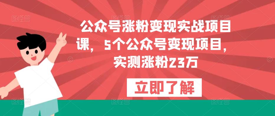 公众号涨粉变现实战项目课，5个公众号变现项目，实测涨粉23万-辉硕副业