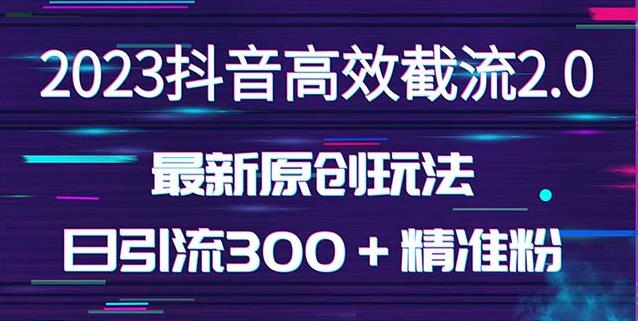 日引300＋创业粉，独家抖音高效截流2.0玩法（价值1280）-辉硕副业