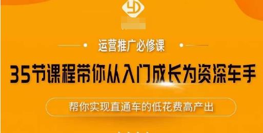 35节课程带你从入门成长为资深车手，让系统学习直通车成为可能，帮你实现直通车的低花费高产出-辉硕副业