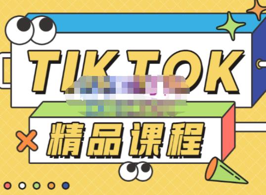 电商孵化中心·TikTok精品课程，教你玩转海外抖音，低成本创业，带您从0开始玩转TikTok-辉硕副业