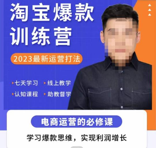 爱上黄昏·淘宝爆款训练营，2023最新运营打法，学习爆款思维，实现利润增长-辉硕副业