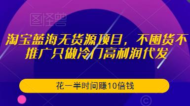 淘宝蓝海无货源项目，不囤货不推广只做冷门高利润代发，花一半时间赚10倍钱-辉硕副业