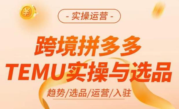 跨境拼多多TEMU实操与选品，​掌握平台运营方法技巧，选品避坑12条标准，爆款的底层思路等-辉硕副业