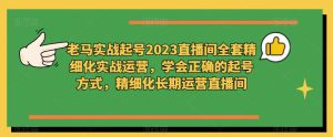 老马实战起号2023直播间全套精细化实战运营,学会正确的起号方式,精细化长期运营直播间-辉硕副业
