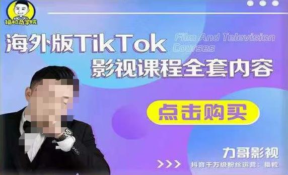 海外TikTok影视课程全套，从搭建渠道，到如何正确使用账号，到未来的变现渠道等-辉硕副业