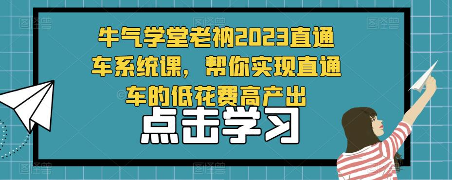 牛气学堂老衲2023直通车系统课，帮你实现直通车的低花费高产出-辉硕副业