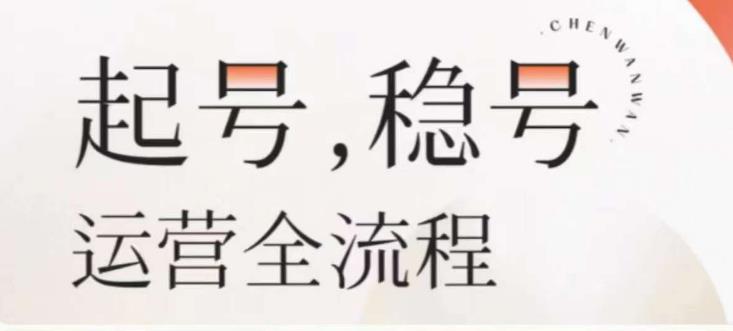 婉婉-起号稳号运营全流程，解决从小白到进阶所有运营知识，帮助解决账号所有运营难题-辉硕副业