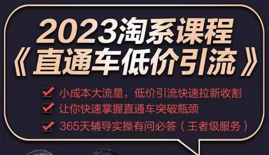 2023直通车低价引流玩法课程，小成本大流量，低价引流快速拉新收割，让你快速掌握直通车突破瓶颈-辉硕副业