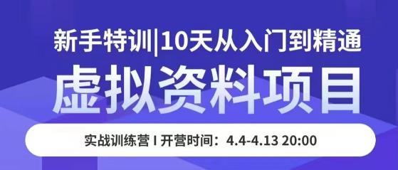 虚拟资料项目新手特训，10天从入门到精通，保姆级实操教学-辉硕副业