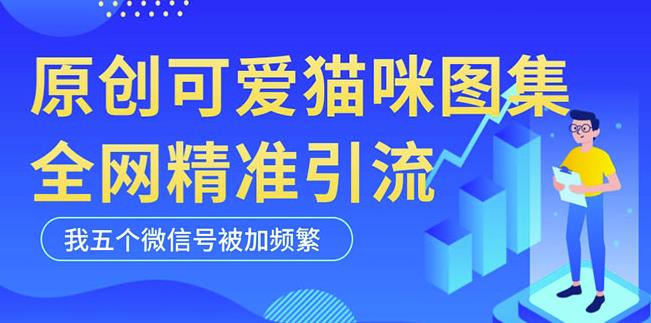 黑科技纯原创可爱猫咪图片，全网精准引流，实操5个VX号被加频繁-辉硕副业