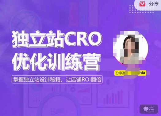 独立站CRO优化训练营，掌握独立站设计秘籍，打造高转化的独立站，让店铺ROI翻倍-辉硕副业