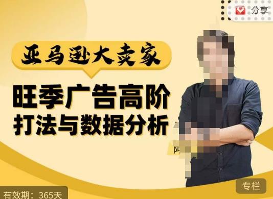阿甘·亚马逊大卖家广告高阶打法与数据分析，走出传统广告误区；揭秘大卖惯用打法；数据驱动广告决策-辉硕副业