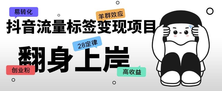 抖音流量标签变现项目，抖音创业粉轻松转化，单价高收益简单-辉硕副业