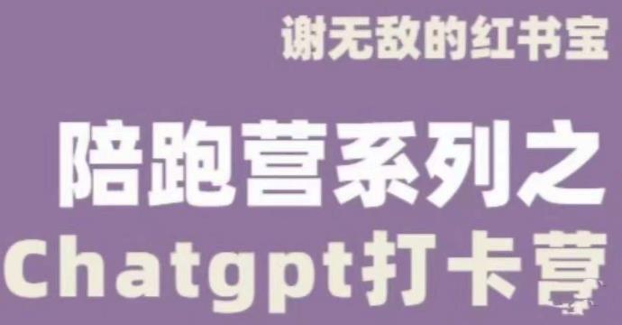 谢无敌ChatGPT打卡营，教你更好地使用ChatGPT来提高工作效率-辉硕副业