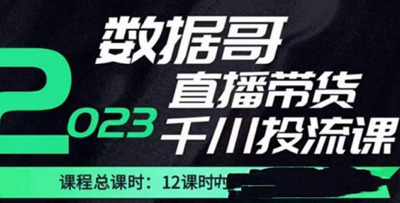 数据哥2023直播电商巨量千川付费投流实操课，快速掌握直播带货运营投放策略-辉硕副业