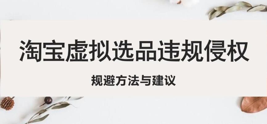 淘宝虚拟违规侵权规避方法与建议，6个部分详细讲解，做虚拟资源必看-辉硕副业
