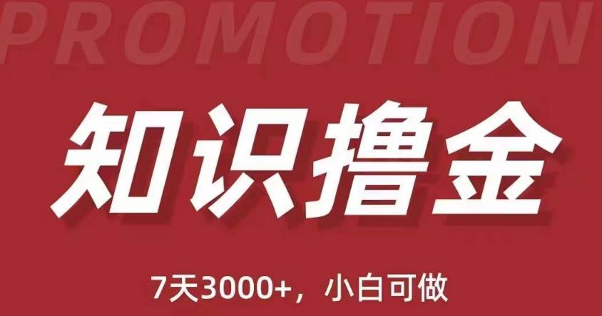抖音知识撸金项目：简单粗暴日入1000+执行力强当天见收益(教程+资料)-辉硕副业
