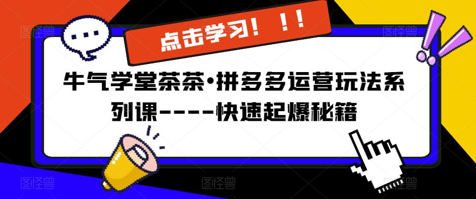 牛气学堂茶茶•拼多多运营玩法系列课—-快速起爆秘籍【更新】-辉硕副业
