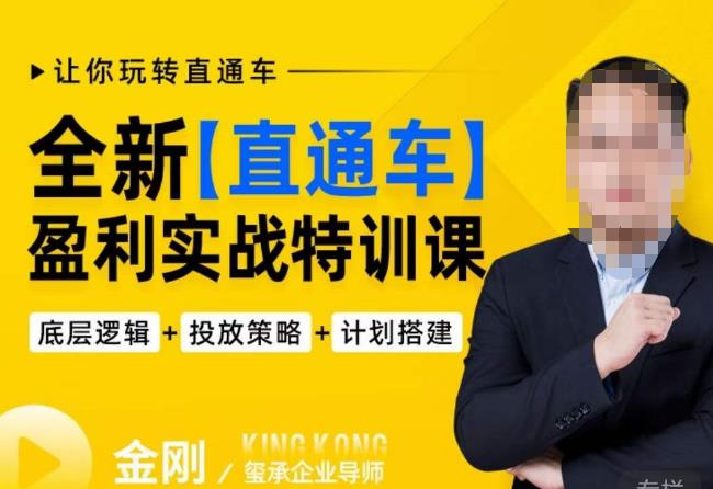 玺承·全新直通车盈利实战特训课，从​底层逻辑详细拆解，从底层，策略到搭建，让你玩转直通车-辉硕副业