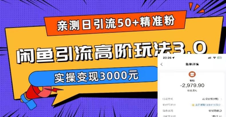亲测日引50+精准粉，闲鱼引流高阶玩法3.0，实操变现3000元【揭秘】-辉硕副业