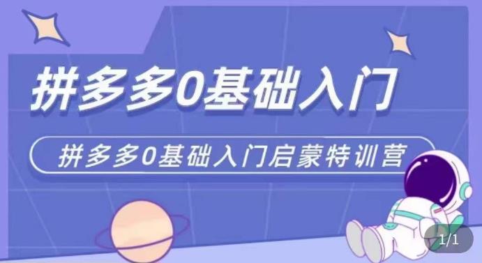 拼多多运营0-1实操特训营，拼多多0基础入门，从基础到进阶的可实操玩法-辉硕副业
