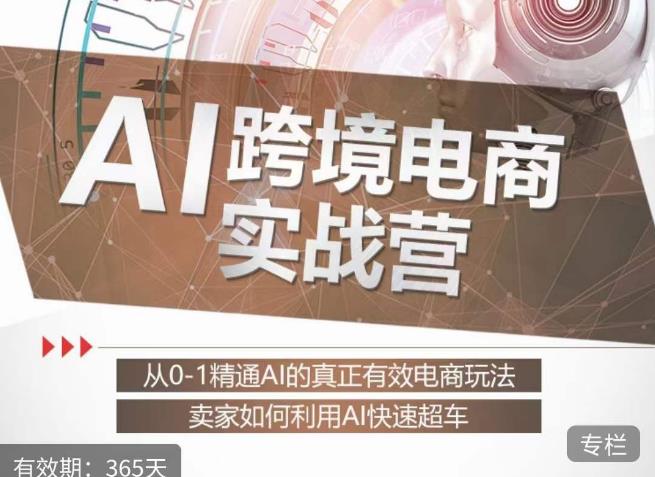 白龙老师·AI跨境电商实战营：从0-1精通Al的真正有效电商玩法，卖家如何利用Al快速超车-辉硕副业